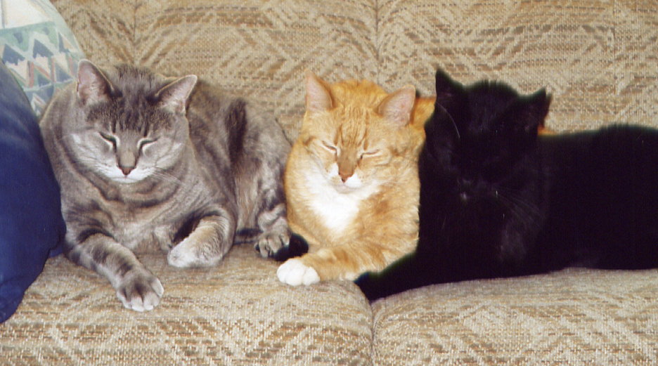 Casper, Rusty, Ebony