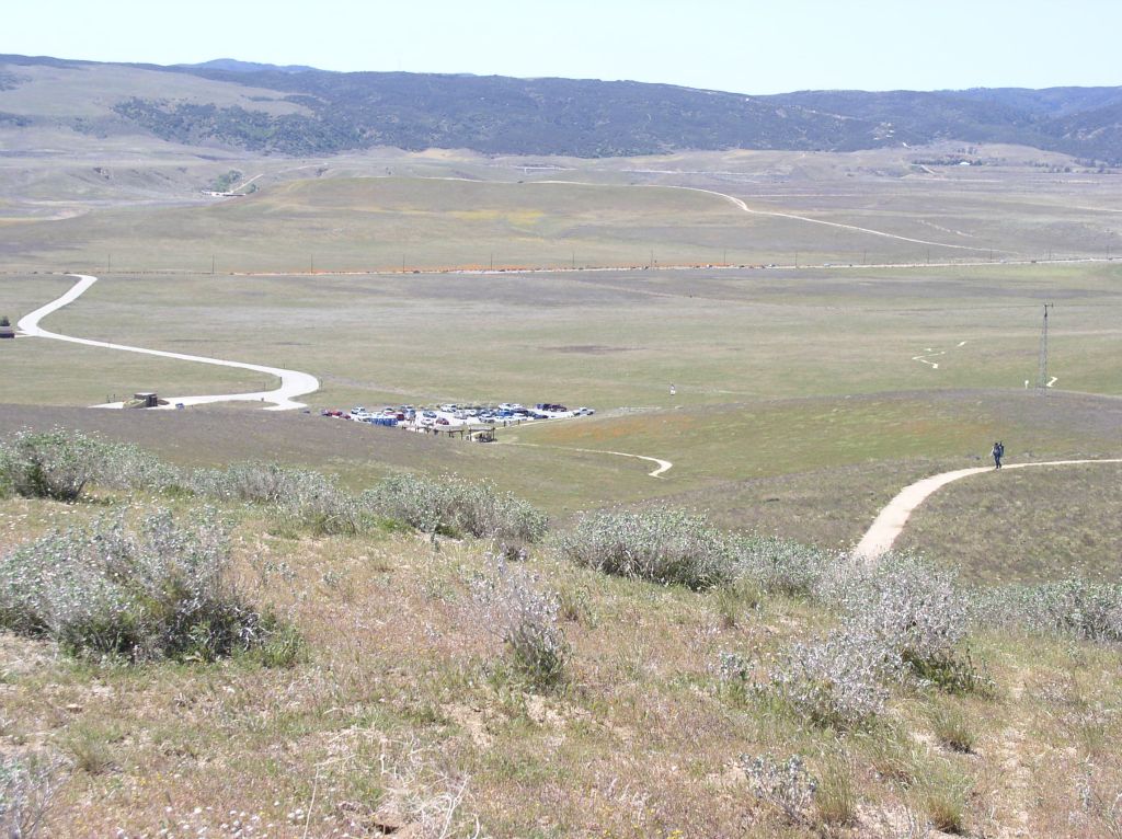 California Poppy Preserve