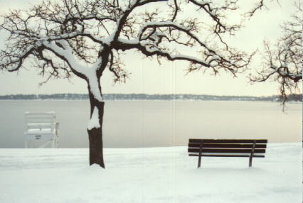 Lake Harriet