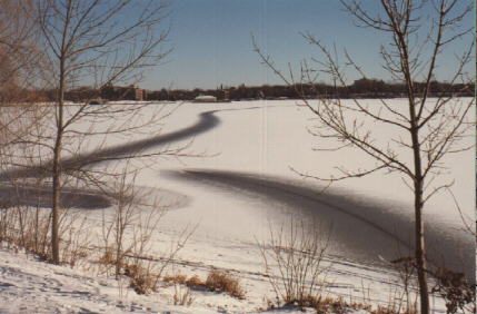 Lake Calhoun