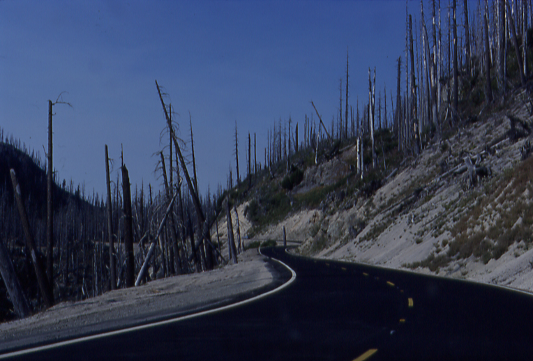 Mt. St. Helens