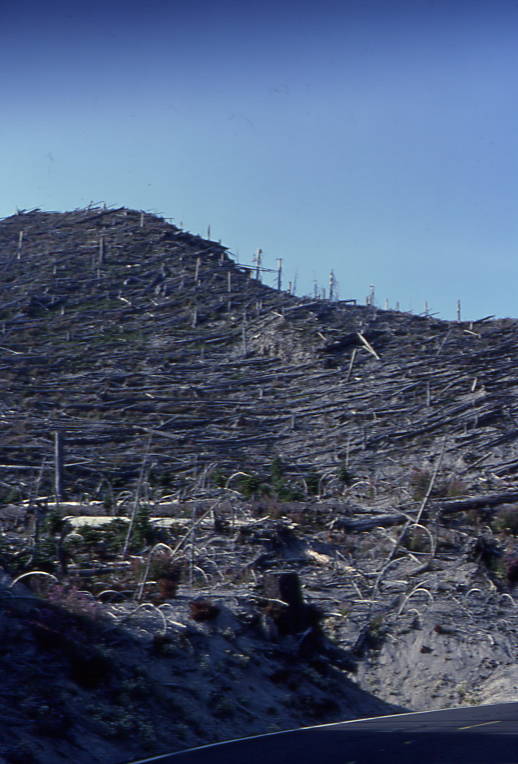 Mt. St. Helens