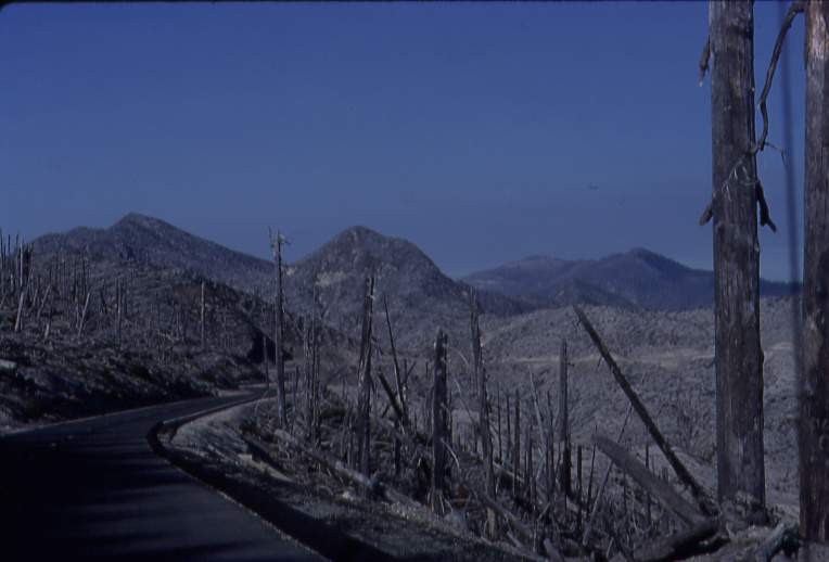 Mt. St. Helens