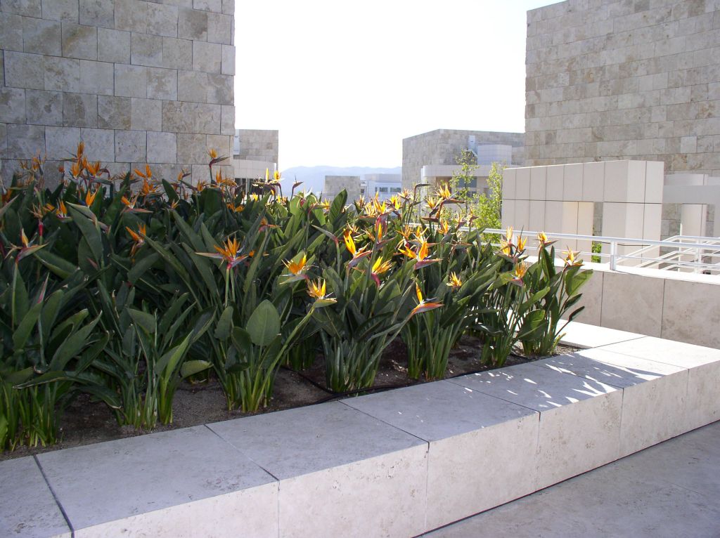 The Getty Center